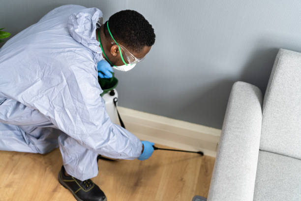 Reliable Clifton, AZ Pest control Solutions